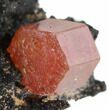 Red Vanadinite Crystals on Manganese Oxide - Morocco #38481-2